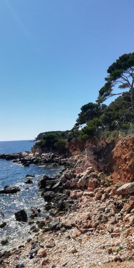 L'Escale D'Aubagne Votre Refuge Chaleureux Pour Un Sejour Relaxant Villa Dış mekan fotoğraf